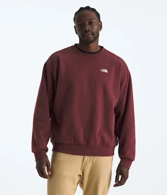 Camiseta de cuello redondo oversize Evolution Simple Dome para hombre