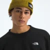 Camiseta de cuello redondo oversize Evolution Simple Dome para hombre Camiseta de cuello redondo oversize Evolution Simple Dome para hombre