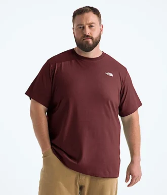 Camiseta de manga corta Big Evolution Simple Dome para hombre