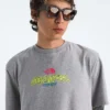 Camiseta de manga corta para hombre TNF™ Essential Expedition Series — Gráfico