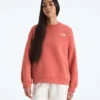 Camiseta oversize Evolution Simple Dome para mujer Camiseta oversize Evolution Simple Dome para mujer