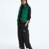 Chaleco 1996 Retro Nuptse DTM para mujer