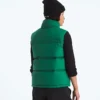 Chaleco 1996 Retro Nuptse DTM para mujer