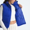 Chaleco 1996 Retro Nuptse DTM para mujer