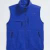 Chaleco Retro Denali DTM para hombre Chaleco Retro Denali DTM para hombre