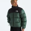 Chaqueta Retro Nuptse para hombre 1996 Chaqueta Retro Nuptse para hombre 1996