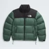 Chaqueta Retro Nuptse para hombre 1996 Chaqueta Retro Nuptse para hombre 1996