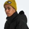 Chaqueta RMST GORE-TEX® Nuptse Tek para hombre Chaqueta RMST GORE-TEX® Nuptse Tek para hombre
