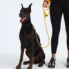 Correa para mascotas TNF™