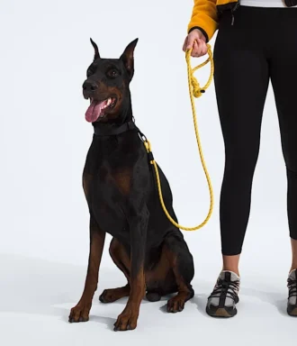 Correa para mascotas TNF™