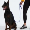 Correa para mascotas TNF™
