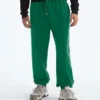 Pantalones TNF™ Essential Simple Dome Relaxed para hombre Pantalones TNF™ Essential Simple Dome Relaxed para hombre