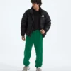 Pantalones TNF™ Essential Simple Dome Relaxed para hombre Pantalones TNF™ Essential Simple Dome Relaxed para hombre
