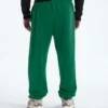 Pantalones TNF™ Essential Simple Dome Relaxed para hombre Pantalones TNF™ Essential Simple Dome Relaxed para hombre
