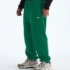 Pantalones TNF™ Essential Simple Dome Relaxed para hombre Pantalones TNF™ Essential Simple Dome Relaxed para hombre