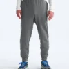 Pantalones TNF™ Performance Fleece SW para hombre