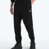 Pantalones TNF™ Performance Fleece SW para hombre