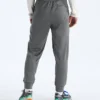 Pantalones TNF™ Performance Fleece SW para hombre