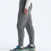 Pantalones TNF™ Performance Fleece SW para hombre