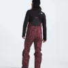Peto Summit Series Verbier GORE-TEX® para hombre