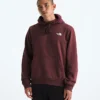 Sudadera con capucha Evolution Box Camo Fill para hombre — Gráfico Sudadera con capucha Evolution Box Camo Fill para hombre — Gráfico