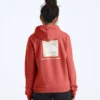 Sudadera con capucha Evolution Box NSE Fill Light para mujer — Gráfica Sudadera con capucha Evolution Box NSE Fill Light para mujer — Gráfica