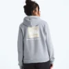 Sudadera con capucha Evolution Box NSE Fill Light para mujer — Gráfica Sudadera con capucha Evolution Box NSE Fill Light para mujer — Gráfica