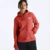 Sudadera con capucha Evolution Box NSE Fill Light para mujer — Gráfica Sudadera con capucha Evolution Box NSE Fill Light para mujer — Gráfica