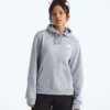 Sudadera con capucha Evolution Box NSE Fill Light para mujer — Gráfica Sudadera con capucha Evolution Box NSE Fill Light para mujer — Gráfica