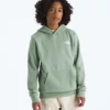 Sudadera con capucha Evolution Box NSE para niño y niña: gráfico Sudadera con capucha Evolution Box NSE para niño y niña: gráfico
