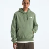 Sudadera con capucha Evolution Box NSE Regular para hombre