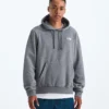 Sudadera con capucha Evolution Simple Dome Regular para hombre