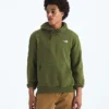 Sudadera con capucha Evolution Simple Dome Regular para hombre