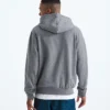 Sudadera con capucha Evolution Simple Dome Regular para hombre