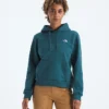 Sudadera con capucha Evolution Simple Dome Regular para mujer