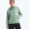 Sudadera con capucha Evolution Simple Dome Regular para mujer