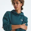 Sudadera con capucha Evolution Simple Dome Regular para mujer