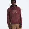 Sudadera con capucha Evolution TNF™ Bear para hombre — Gráfico Sudadera con capucha Evolution TNF™ Bear para hombre — Gráfico