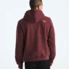 Sudadera con capucha Evolution TNF™ MTN para hombre — Gráfico Sudadera con capucha Evolution TNF™ MTN para hombre — Gráfico