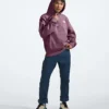 Sudadera con capucha Evolution Vintage para hombre Sudadera con capucha Evolution Vintage para hombre