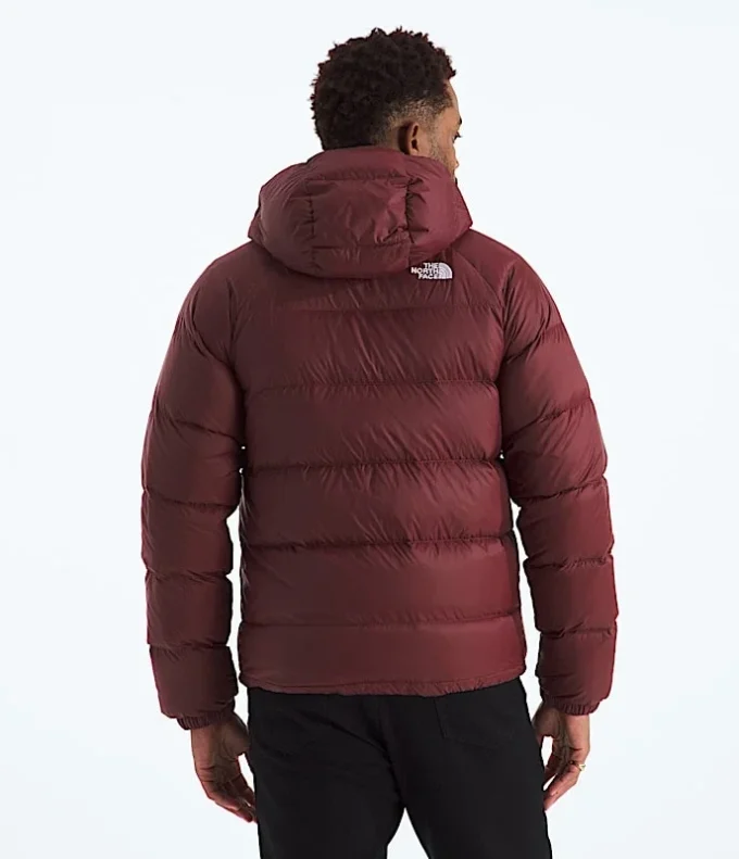 Sudadera con capucha Hydrenalite™ Down para hombre Sudadera con capucha Hydrenalite™ Down para hombre