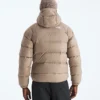 Sudadera con capucha Hydrenalite™ Down para hombre