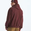 Sudadera con capucha oversize Evolution Simple Dome para hombre