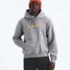 Sudadera con capucha TNF™ Essential Expedition Series para hombre — Gráfico Sudadera con capucha TNF™ Essential Expedition Series para hombre — Gráfico