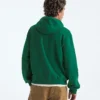 Sudadera con capucha TNF™ Essential Simple Dome Relaxed para hombre